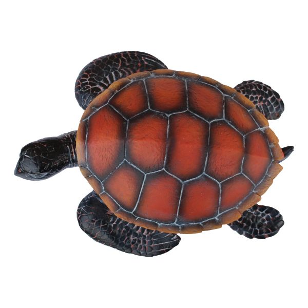 Schildkröte