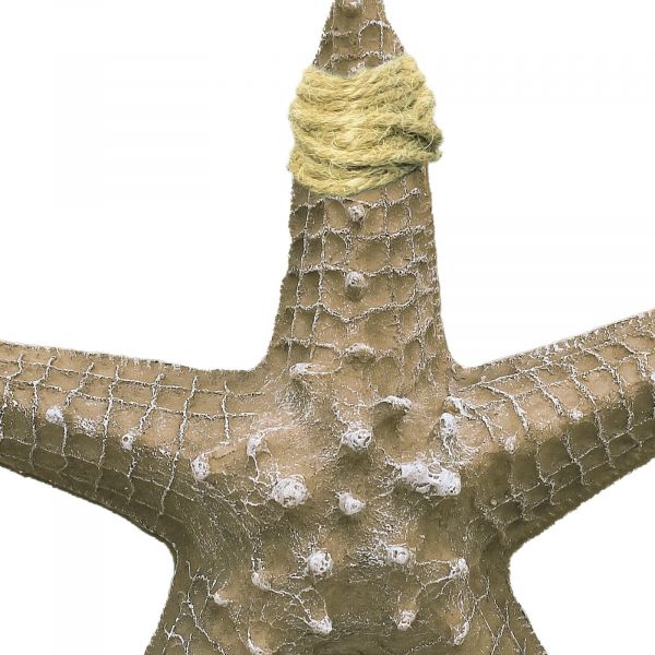 Seestern