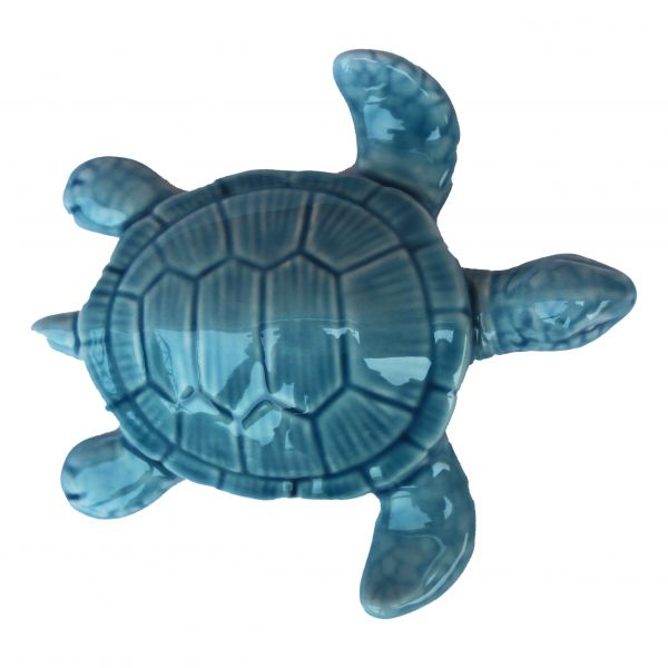 Schildkröte