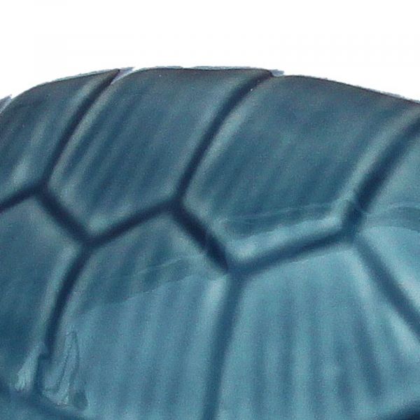 Schildkröte