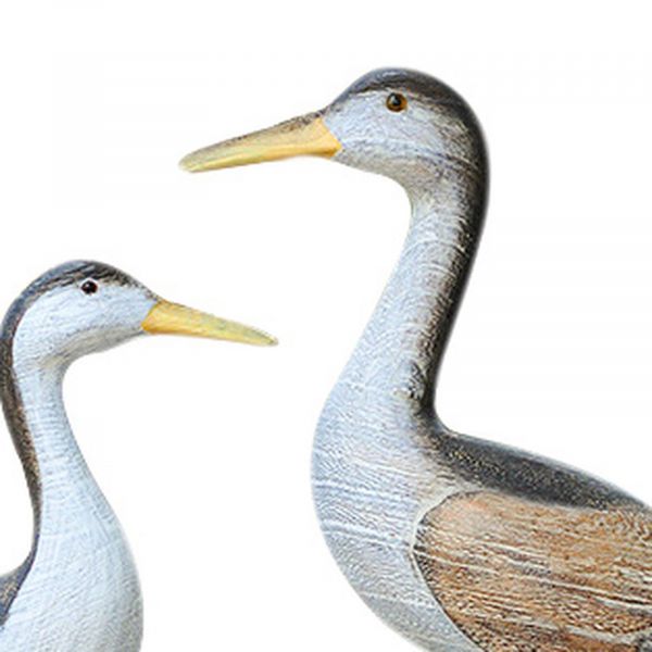 Vögel