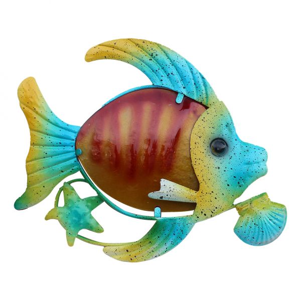 Fisch 5655