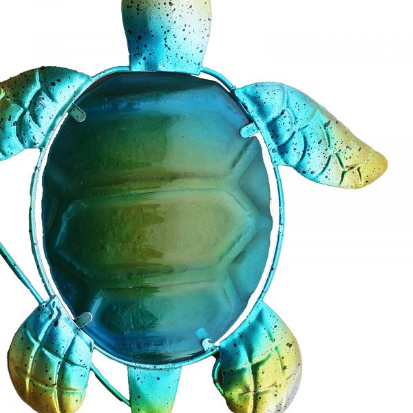 Schildkröte