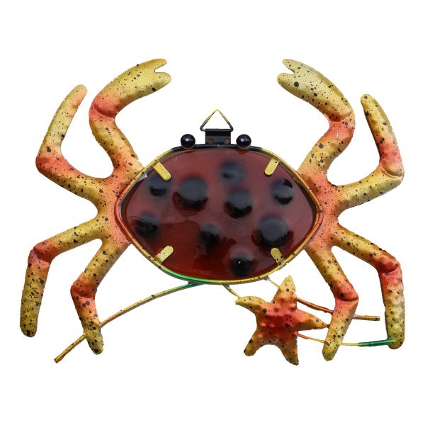 Krabbe 5658