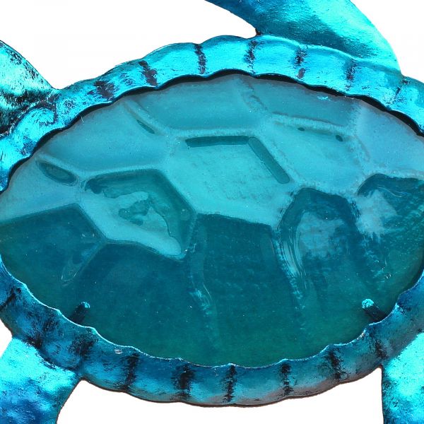 Schildkröte