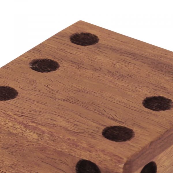 Würfel-Box mit 6 Würfeln
