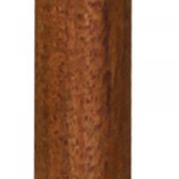Spazierstock mit Teleskop