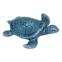 Schildkröte
