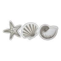 Wand-Deko - Seestern, Muschel, Schnecke