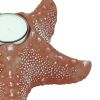 3. Bild Teelichthalter - Seestern 3821