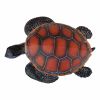 2. Bild Schildkröte 3830