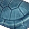 4. Bild Schildkröte 3849