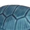 5. Bild Schildkröte 3849