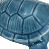 4. Bild Schildkröte 3877