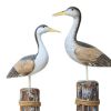 2. Bild Vögel 5526