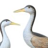 5. Bild Vögel 5526