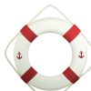 2. Bild Rettungsring 5564