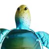 5. Bild Schildkröte 5657