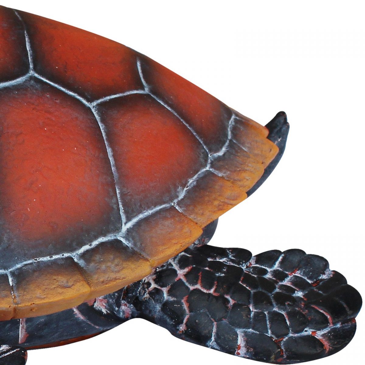 3. Bild Schildkröte 3830