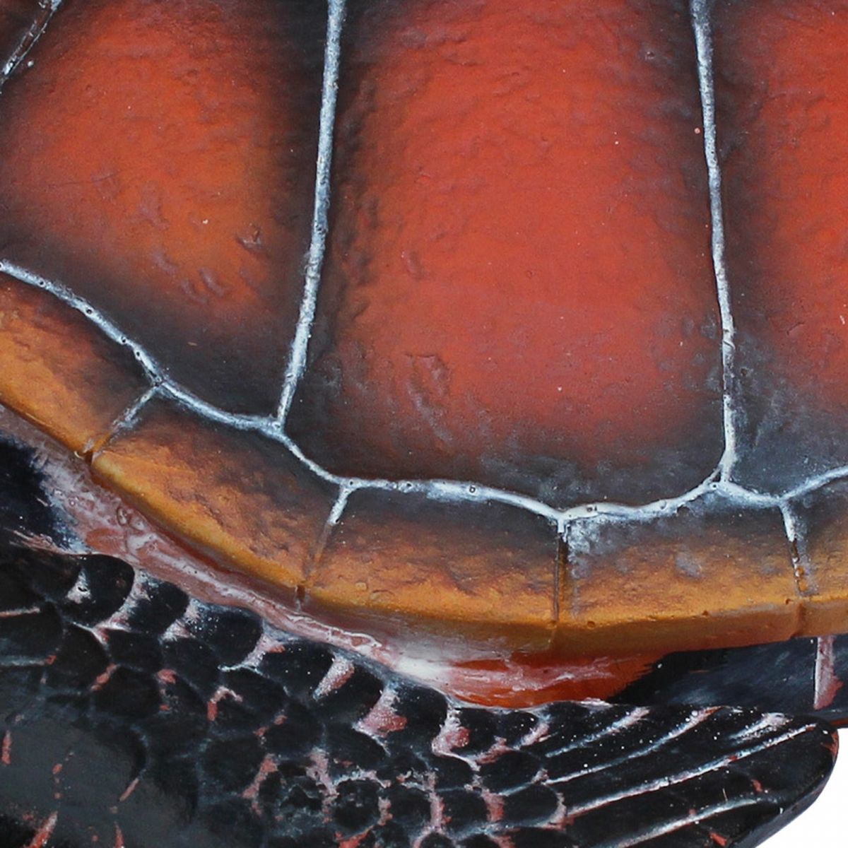 4. Bild Schildkröte 3830