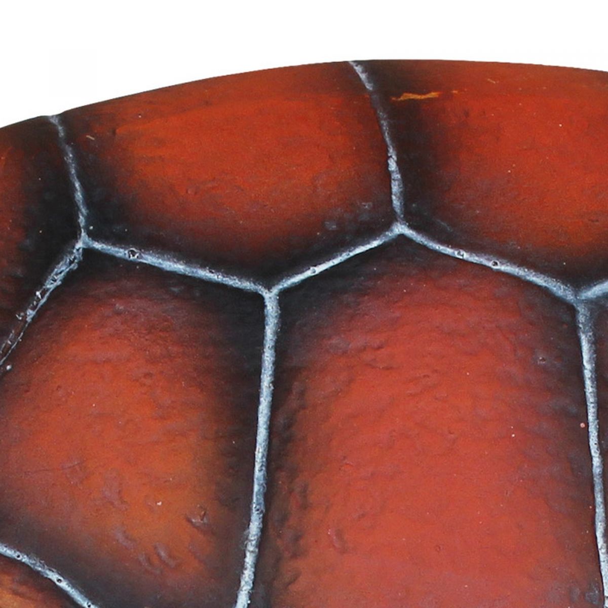 5. Bild Schildkröte 3830