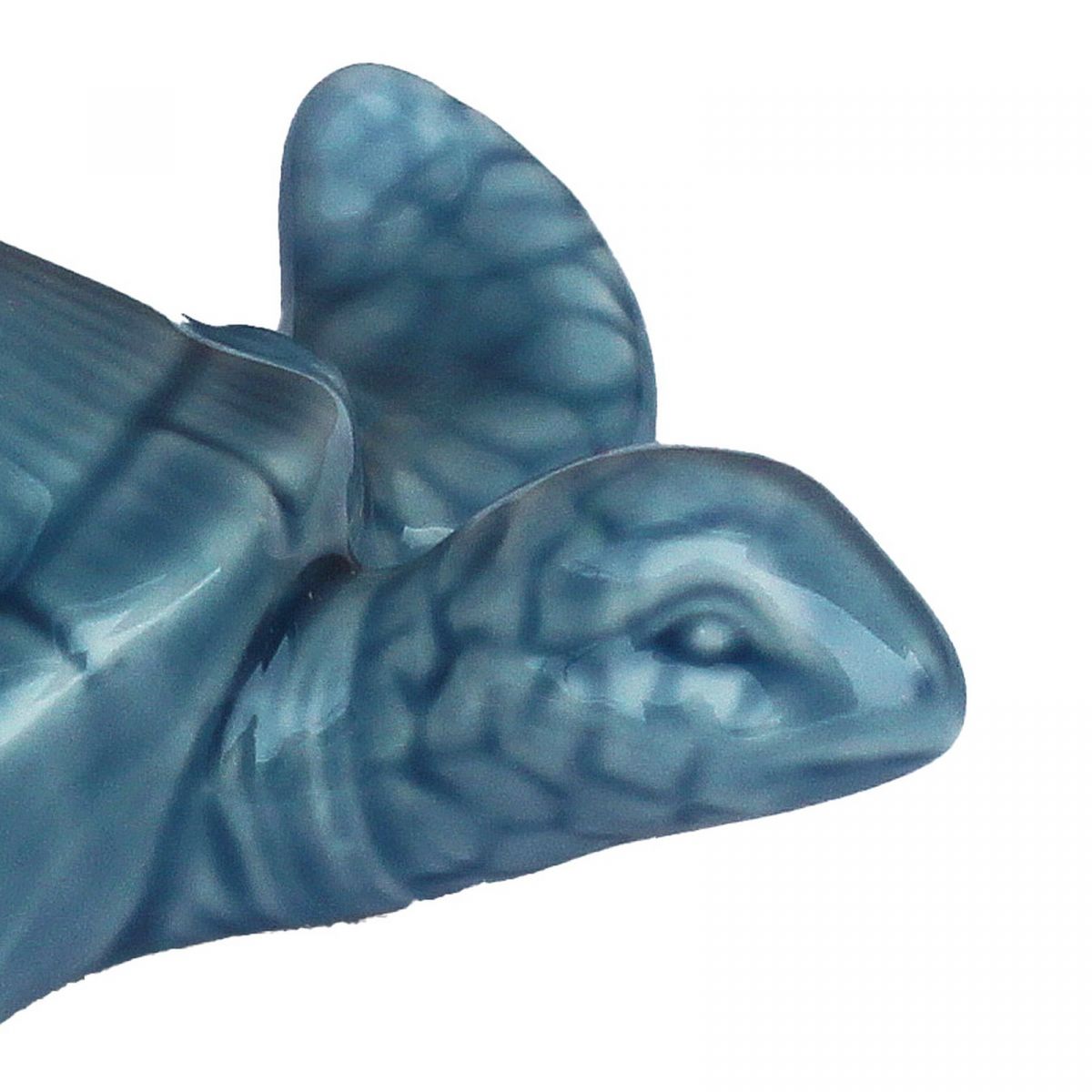 3. Bild Schildkröte 3849