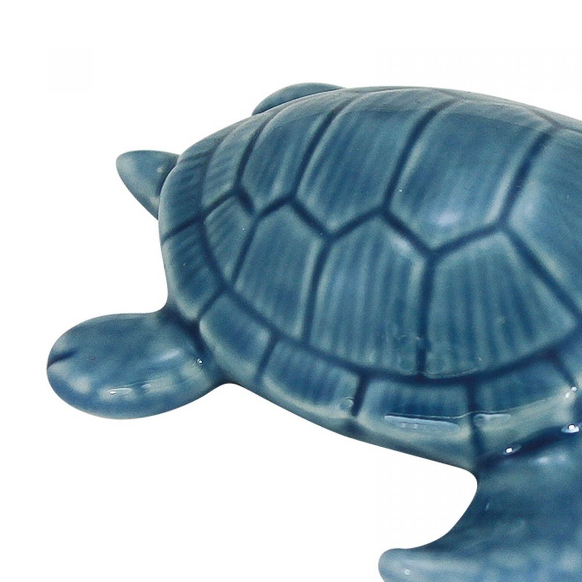 2. Bild Schildkröte 3877