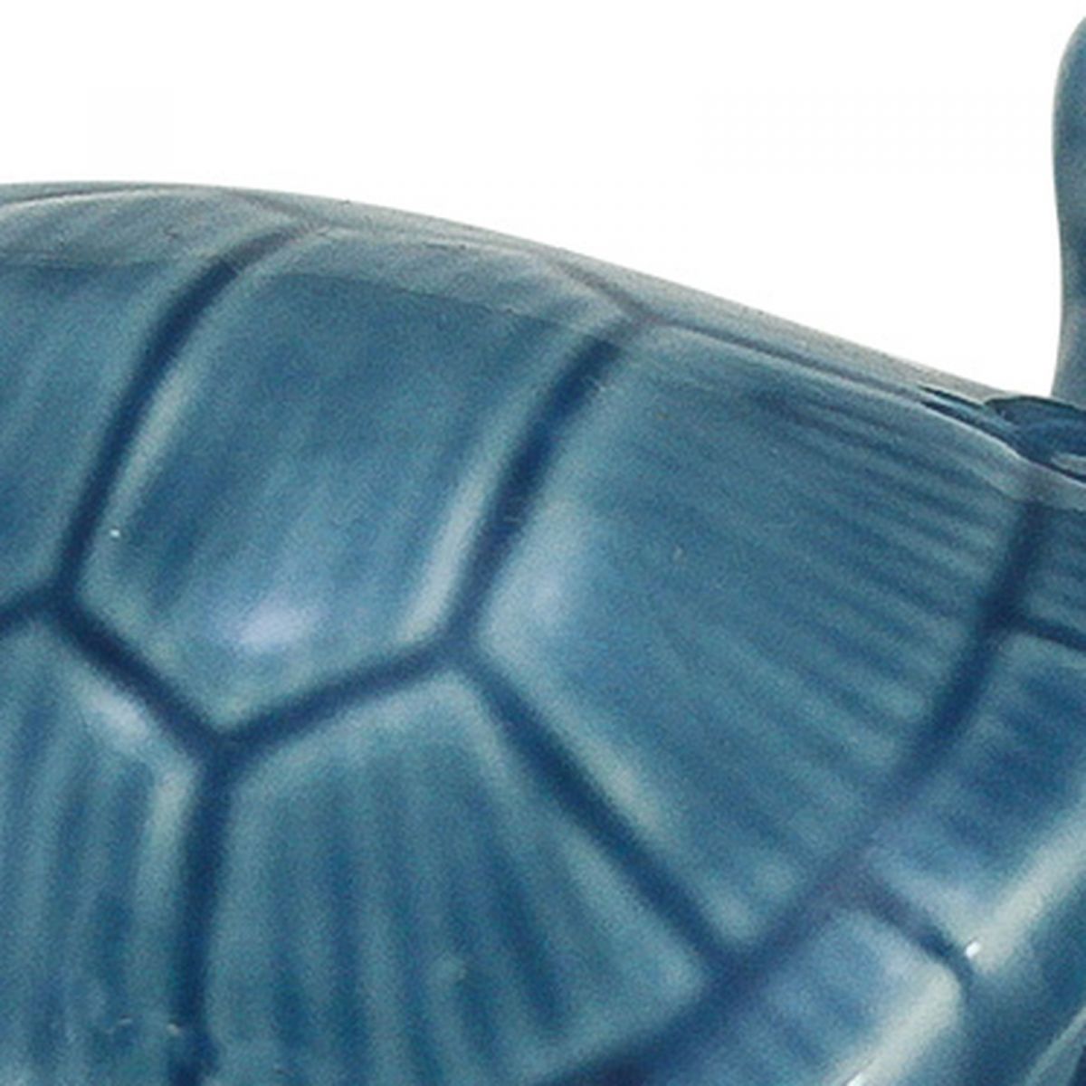 5. Bild Schildkröte 3877