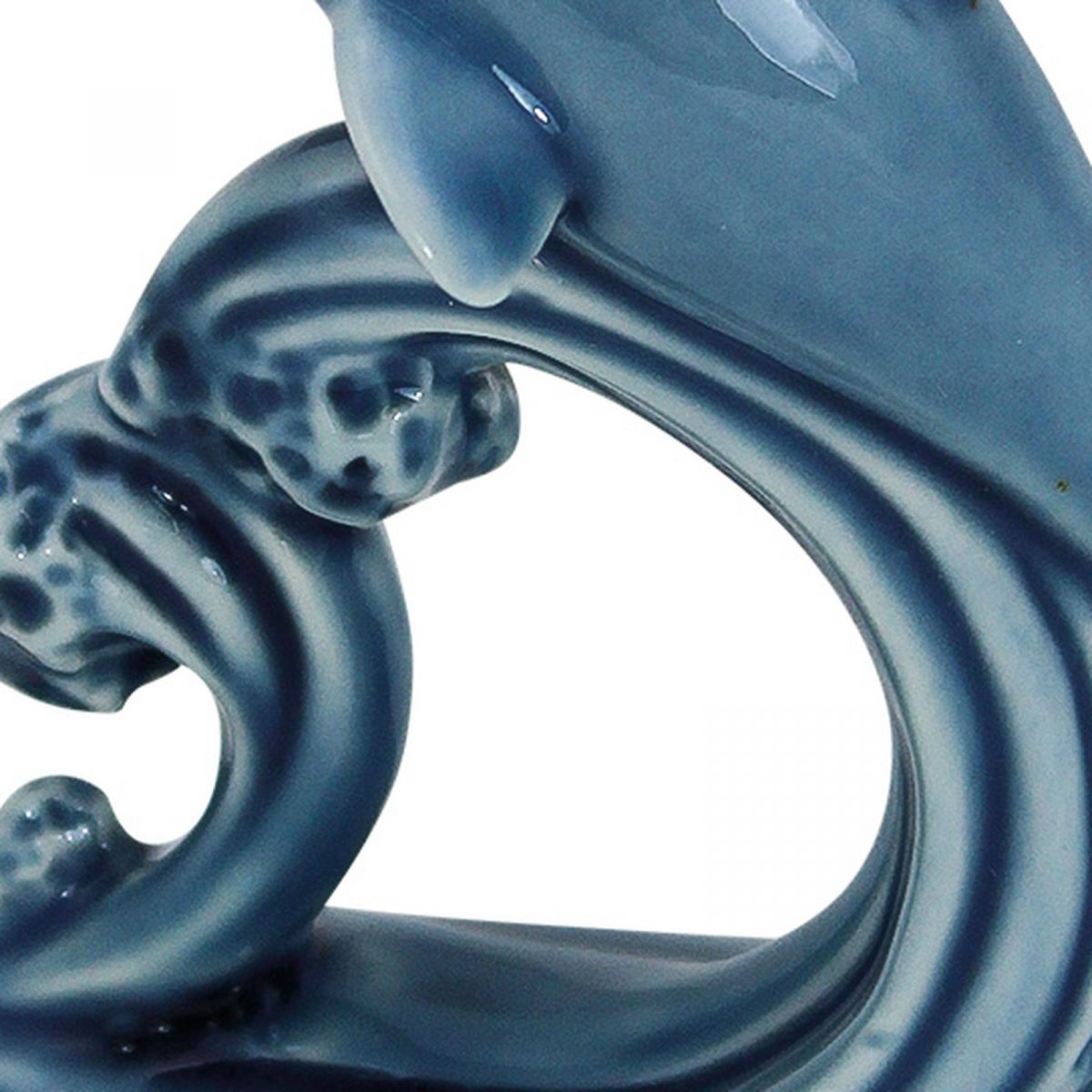 4. Bild Delfin 3879
