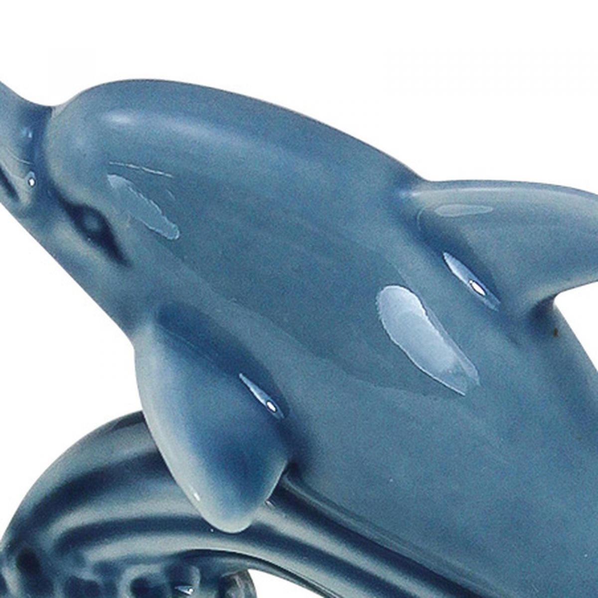 5. Bild Delfin 3879