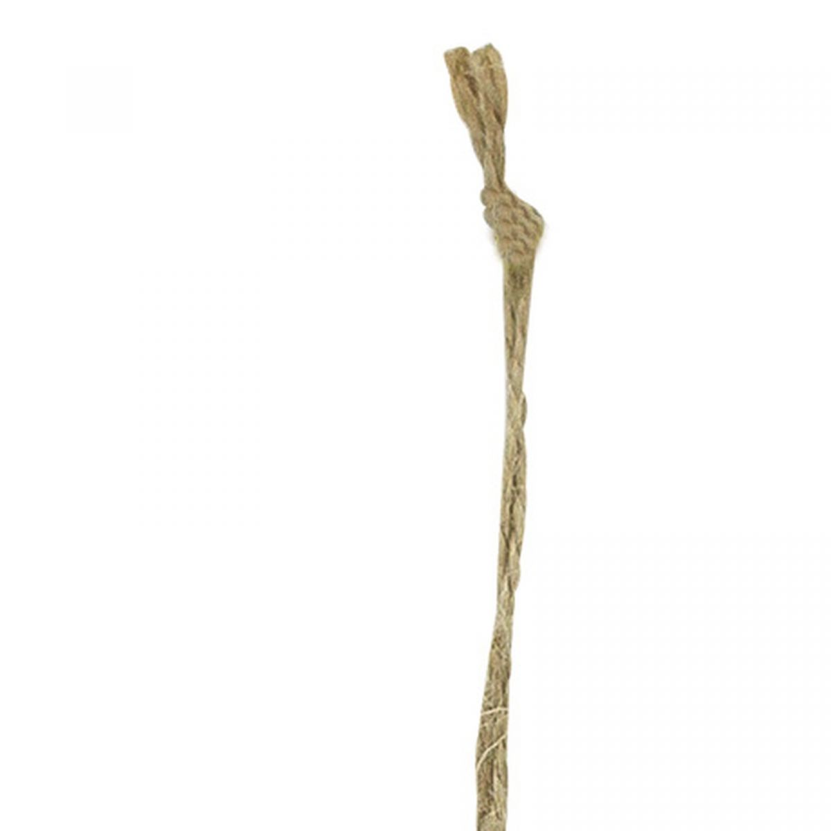 2. Bild Grätenfisch 3887