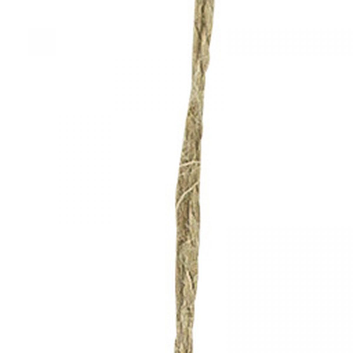 5. Bild Grätenfisch 3887