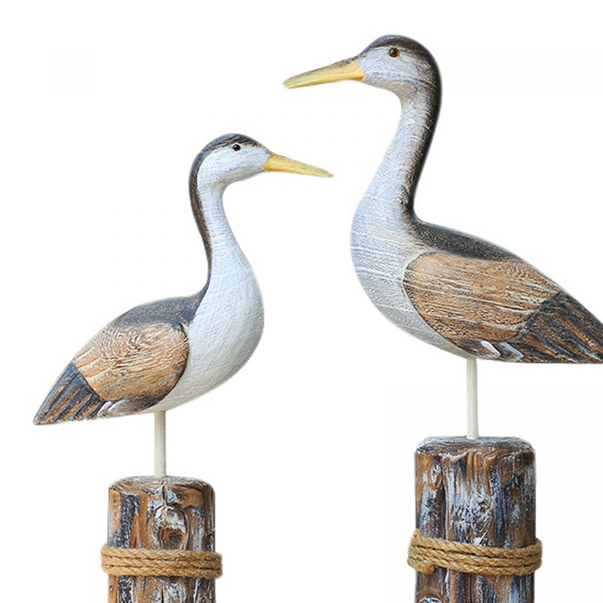 2. Bild Vögel 5526