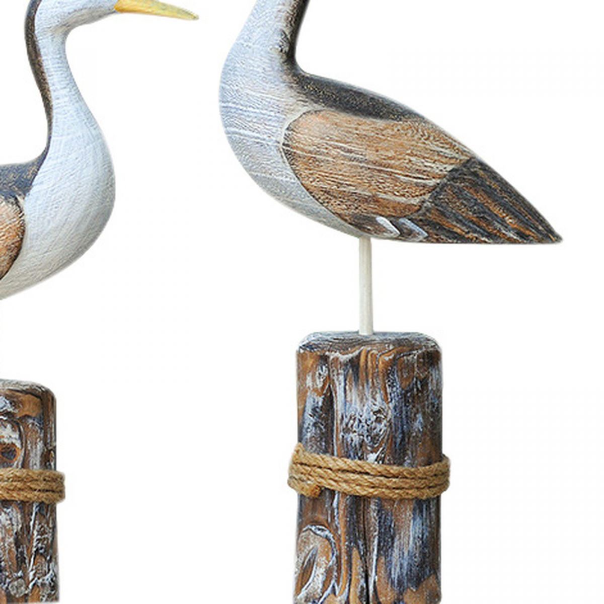 3. Bild Vögel 5526