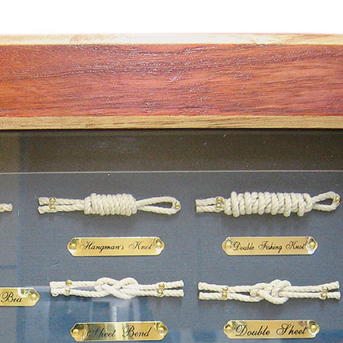 5. Bild Knotentafel hinter Glas 5585