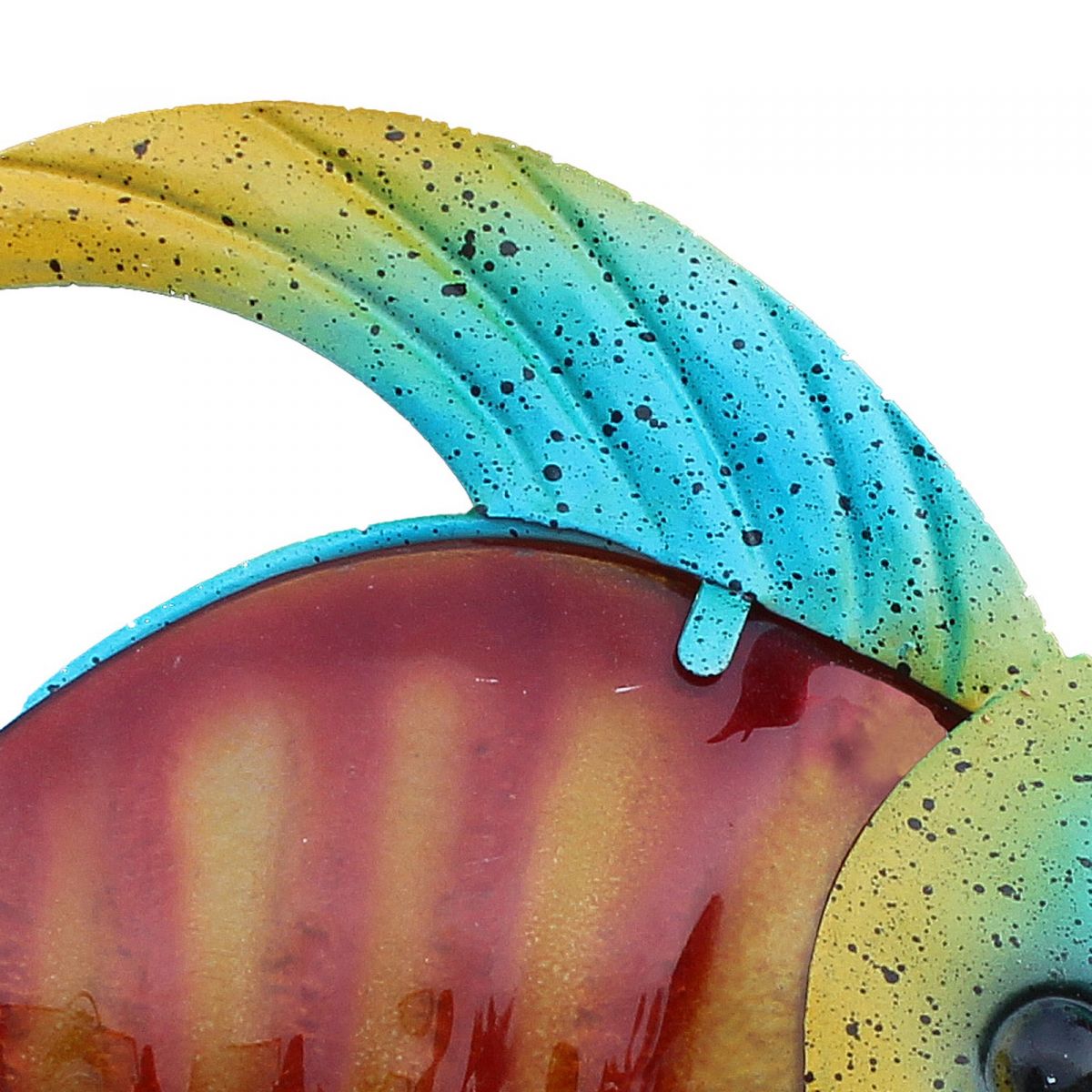 5. Bild Fisch 5655