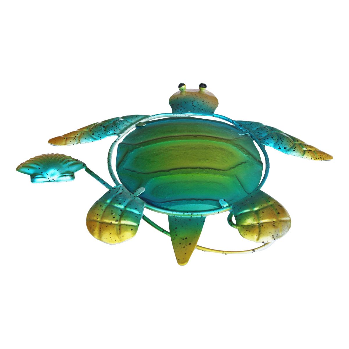 2. Bild Schildkröte 5657