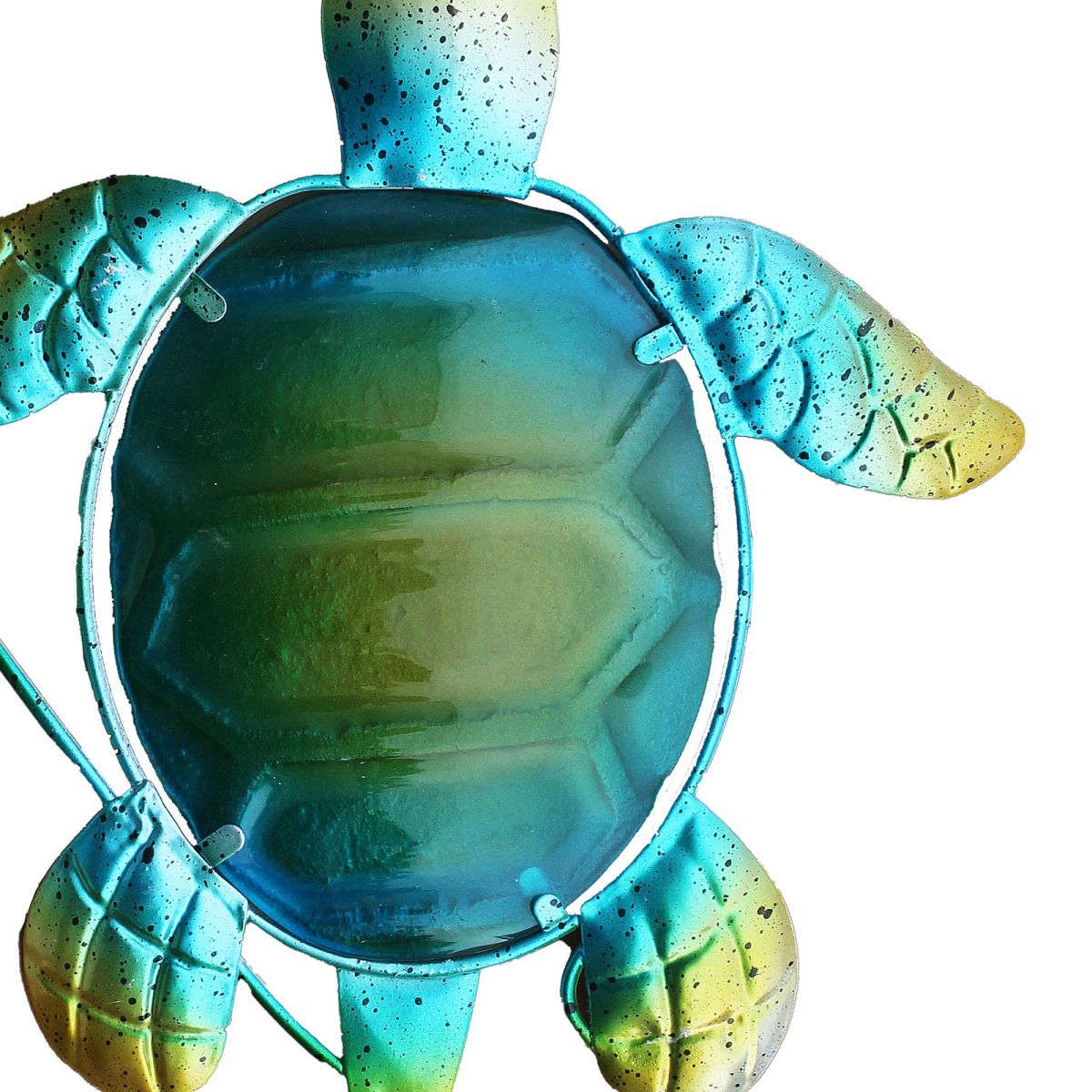 3. Bild Schildkröte 5657