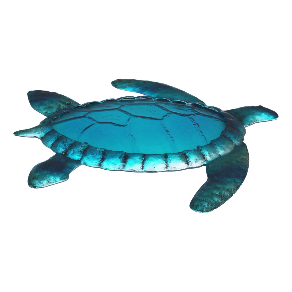 2. Bild Schildkröte 5659