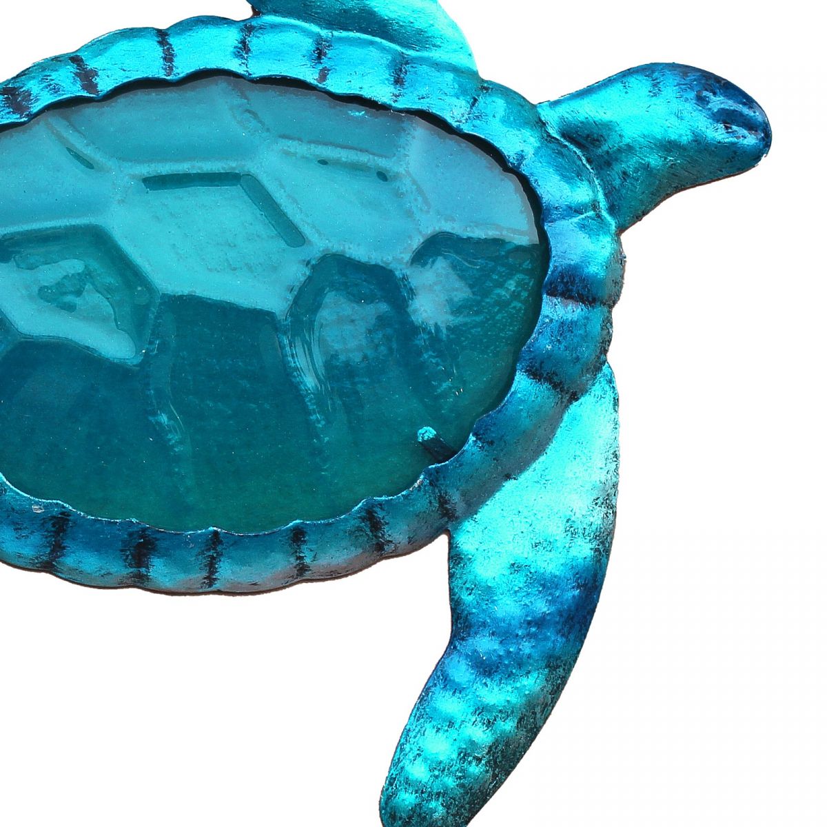3. Bild Schildkröte 5659