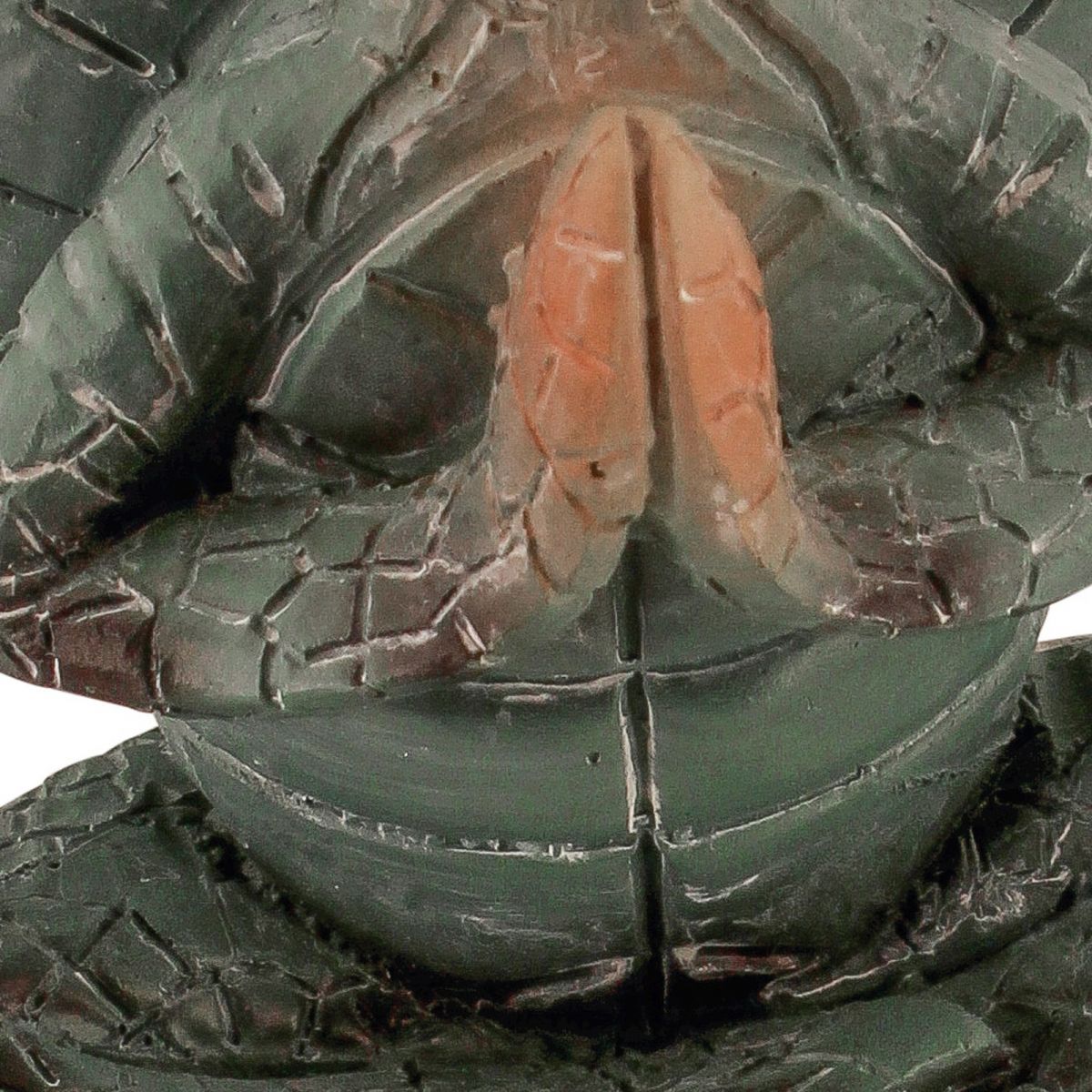 4. Bild Betende Schildkröte 5705