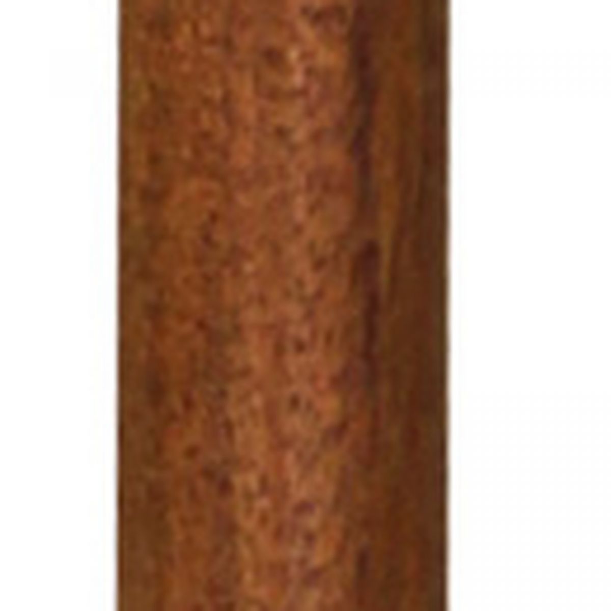 4. Bild Spazierstock mit Teleskop 9559