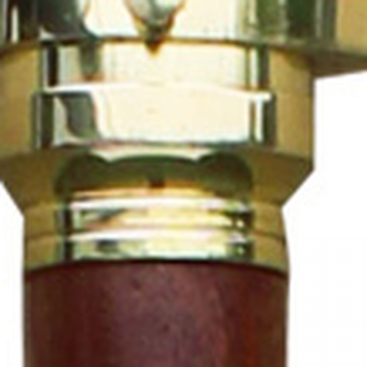 5. Bild Spazierstock mit Teleskop 9559