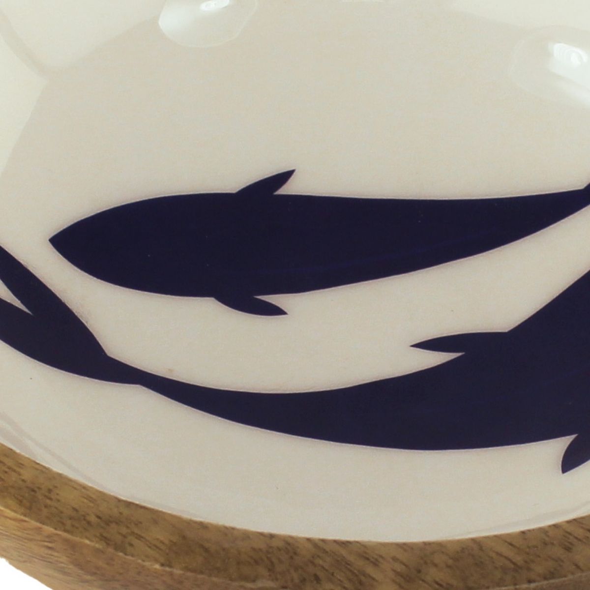 4. Bild Fische 9752