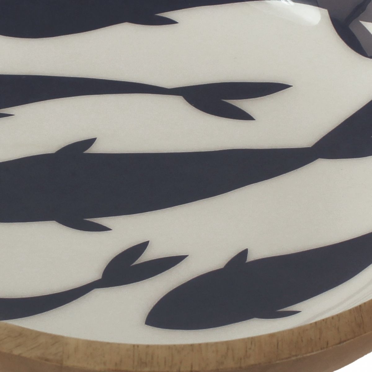 4. Bild Fische 9753