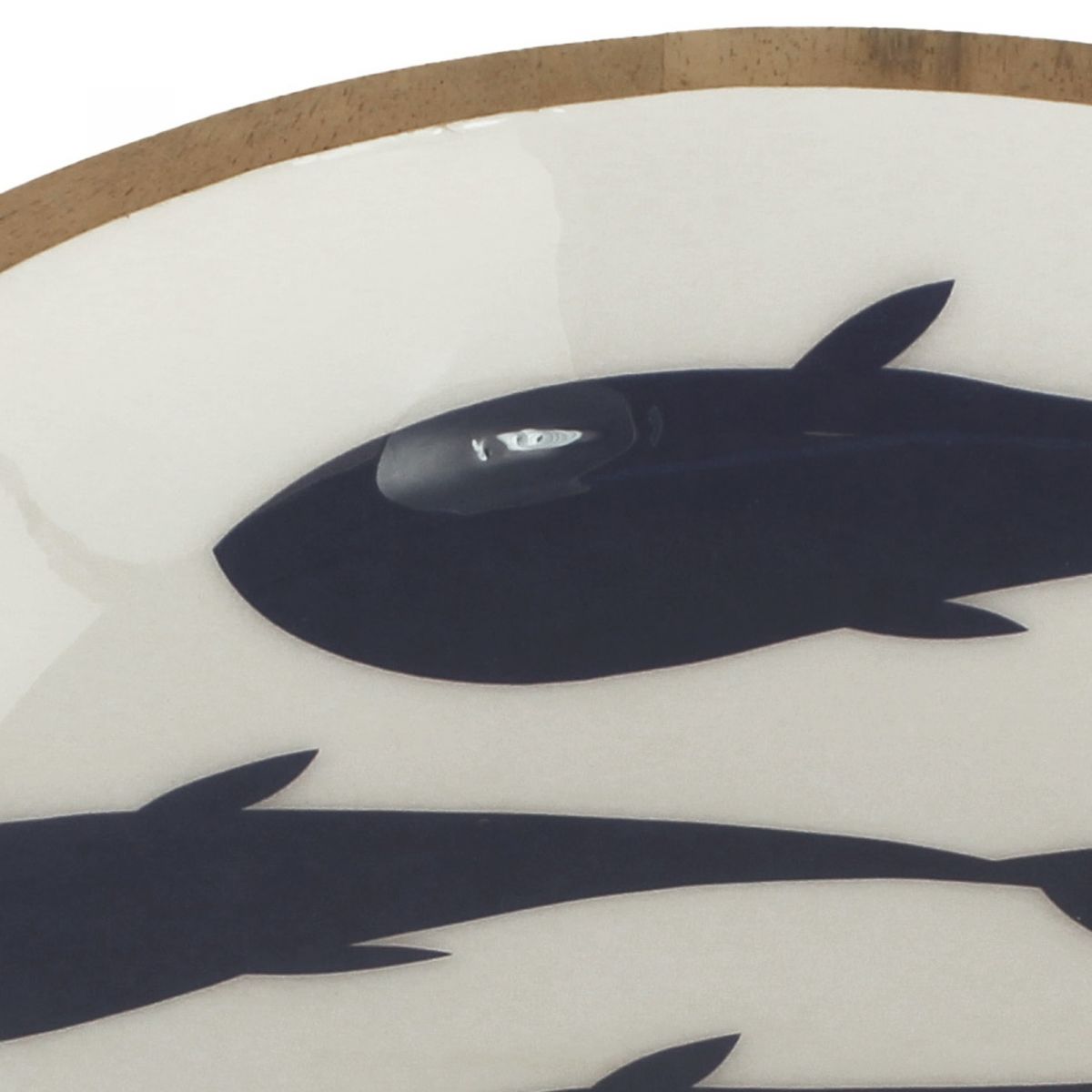 5. Bild Fische 9753