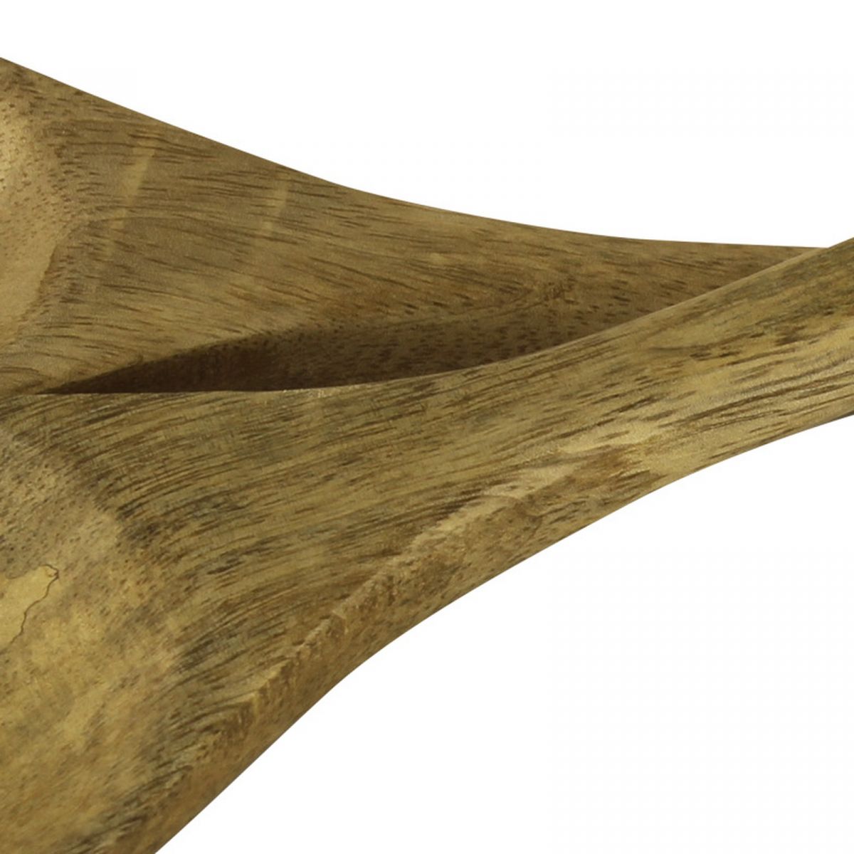4. Bild Fische 9755