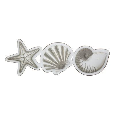 Wand-Deko - Seestern, Muschel, Schnecke 5454