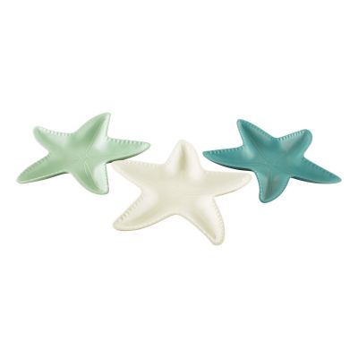 Schalen - Seestern 5462