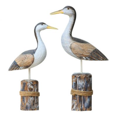 Vögel 5526
